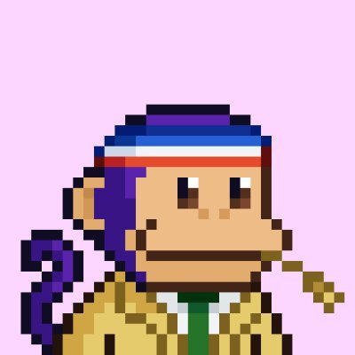 shek_dev